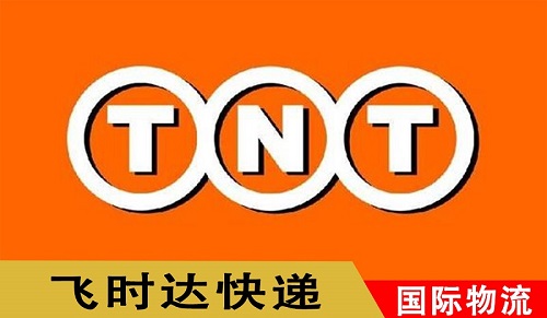 TNTf\(yn)ݔ